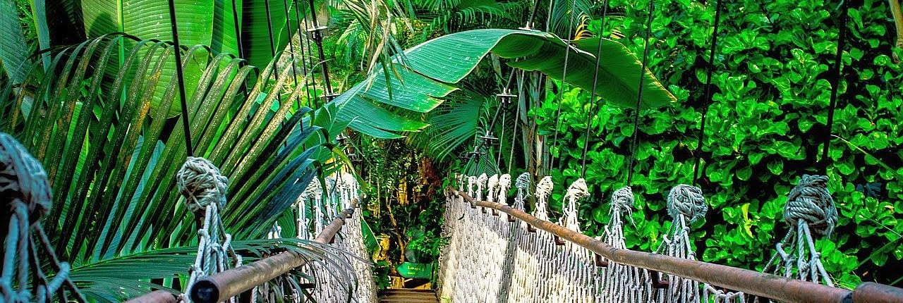 Hypnose für chronische Krankheiten, Blockaden, Angst und Darmprobleme.